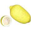 lemon1_14.jpg